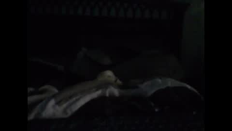 Snapshot of untuchabl1 chatting on December 12, 7:52 am untuchabl1 online show from December 12, 7:52 am