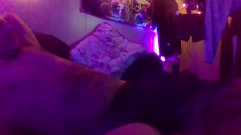 urdaddy875867 online show from January 18, 5:38 am