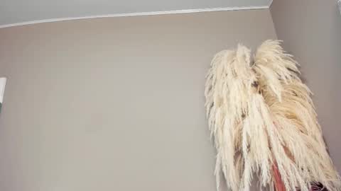 Love online show from October 14, 1:30 am