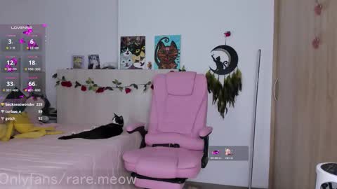    online show from December 14, 8:04 pm