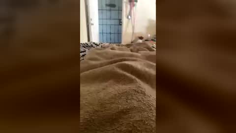 useranon334457 online show from July 20, 3:36 pm