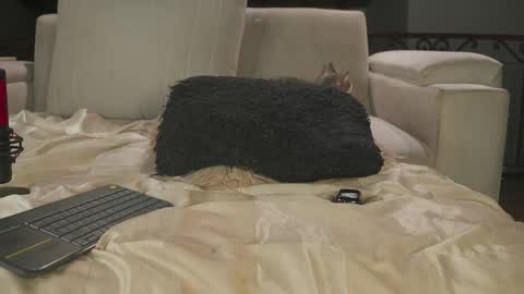 Valeria online show from February 6, 11:40 pm