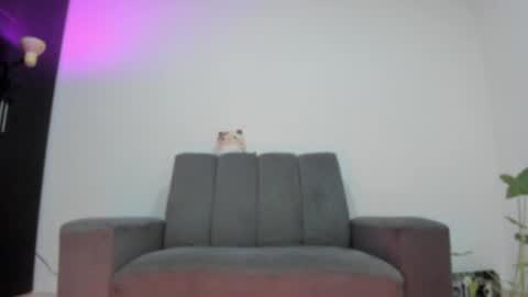 Babi Alu online show from May 25, 9:48 am