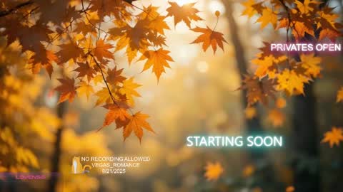 vegas_romance online show from September 21, 11:53 pm