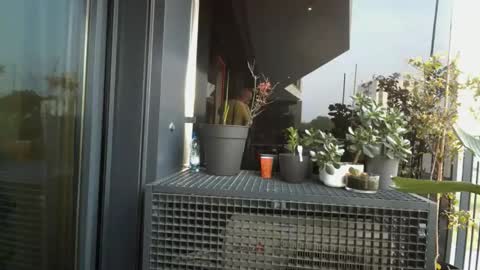 veleskroom online show from April 20, 6:27 am