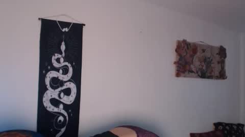 Venus Brave online show from February 20, 7:05 pm