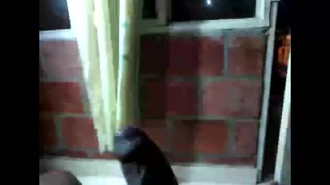 ver_gonblack online show from December 6, 1:24 am