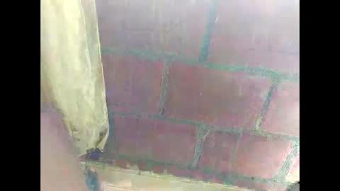 ver_gonblack online show from December 22, 4:59 pm