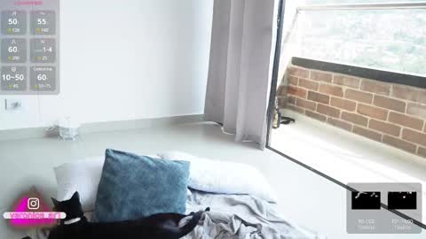 Snapshot of vero_cam chatting on February 13, 7:42 pm vero_cam online show from February 13, 7:42 pm