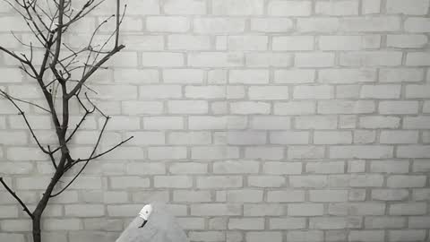 Ana online show from February 3, 2:34 pm