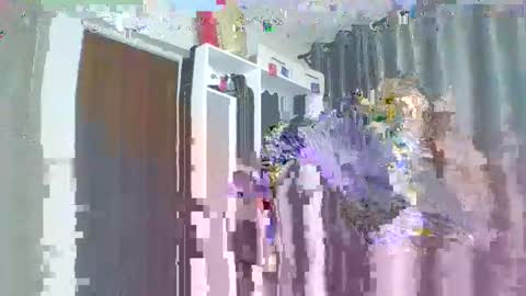 tasha online show from September 22, 5:33 am