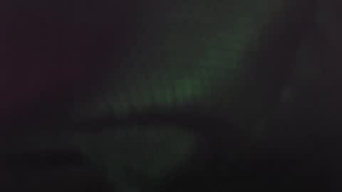 vichrisvi online show from November 20, 8:57 am