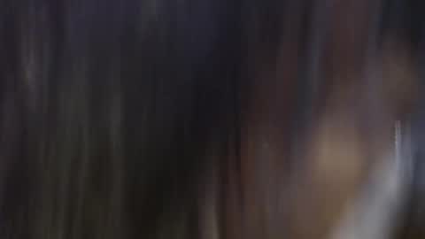 violetsweet_cs online show from October 14, 10:35 pm