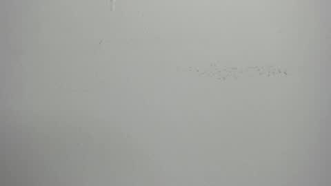 Snapshot of violett_24_ chatting on March 1, 11:39 am violett_24_ online show from March 1, 11:39 am