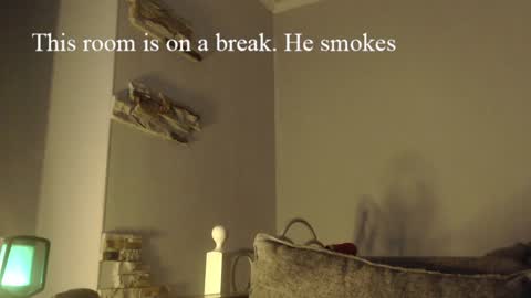 virgil____ online show from December 3, 8:00 am