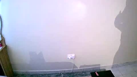 Your Virtual Wife online show from January 19, 1:22 pm