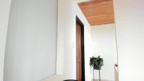 Vito Ferrer online show from February 23, 1:46 pm