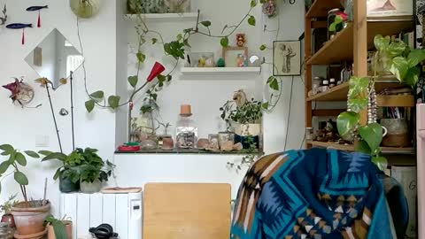 Viv online show from January 6, 1:08 pm