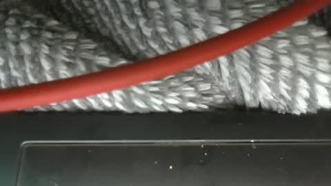 hung boy online show from March 12, 3:57 am