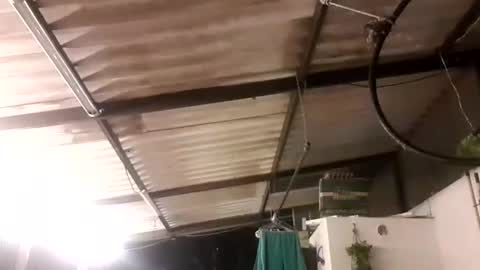 John online show from January 12, 2:14 am