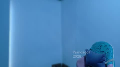 Wanda online show from May 10, 1:17 pm