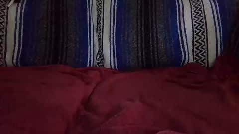 Warishcow online show from December 11, 12:02 am