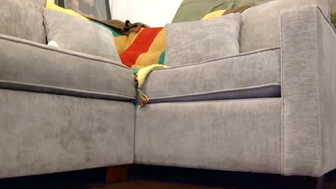 weeeee_snawww online show from April 17, 12:18 pm