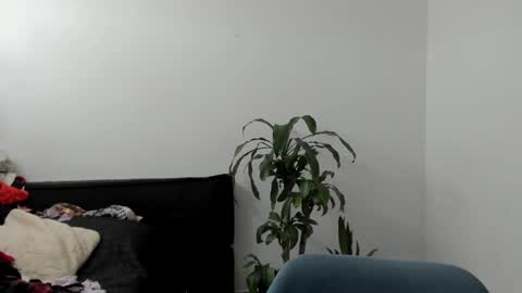 Snapshot of west_ta chatting on September 17, 4:10 pm tatty online show from September 17, 4:10 pm