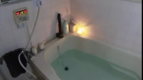 whattheylike online show from March 25, 9:38 am