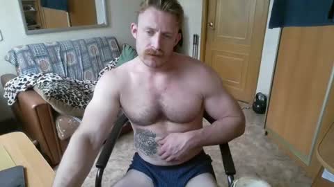 WhiteBull online show from August 8, 10:47 am