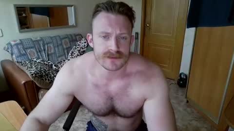 WhiteBull online show from August 9, 10:42 am