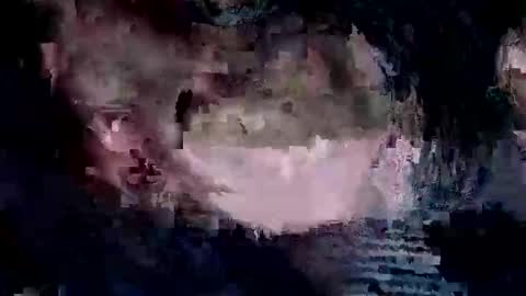 whitpine1 online show from April 9, 3:10 am