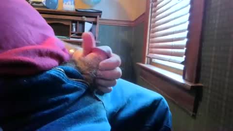 whydog online show from March 1, 3:05 pm