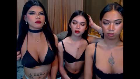 wildara online show from October 22, 10:51 am