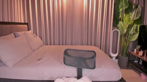 BELLA online show from November 25, 8:46 am