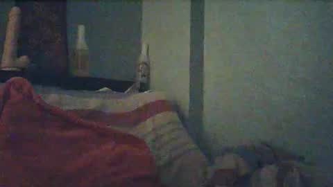 wildfiery online show from February 19, 4:11 am