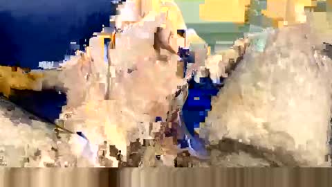 Wildhon online show from March 8, 6:16 pm