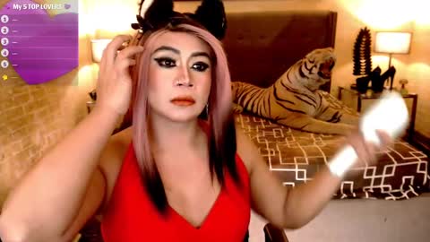 wildtransjhade online show from January 11, 2:15 pm