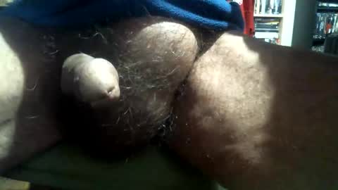 willstrok online show from December 28, 3:04 pm