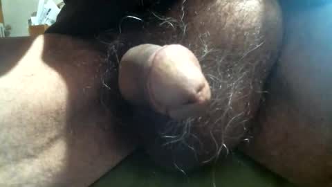 willstrok online show from September 12, 2:41 pm