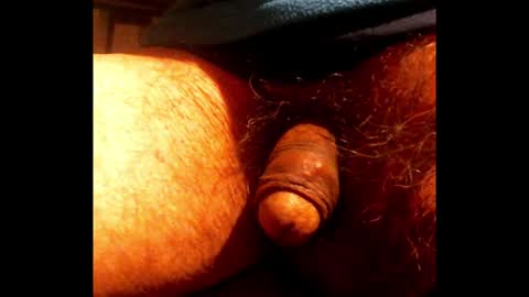 willstrok online show from January 22, 4:55 am