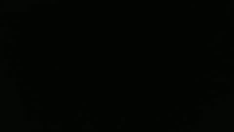 willybewildstonenew online show from March 18, 10:54 am