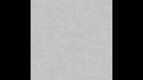 wnhz27 online show from November 25, 10:36 am