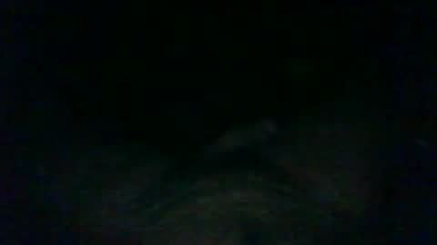 Snapshot of wolf_uu chatting on January 6, 5:30 am Wolf online show from January 6, 5:30 am