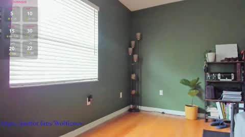 Wolfienov online show from December 27, 3:37 pm