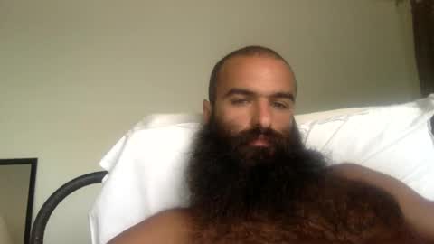 woof_wolf37 online show from May 15, 4:36 pm