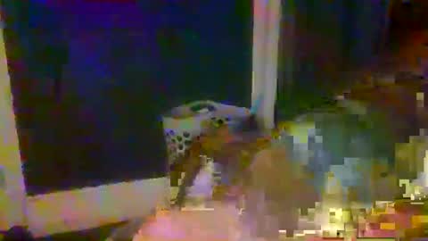 Snapshot of woperator3 chatting on January 9, 1:50 am woperator3 online show from January 9, 1:50 am
