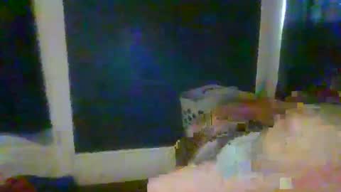 Snapshot of woperator3 chatting on January 12, 10:01 pm woperator3 online show from January 12, 10:01 pm
