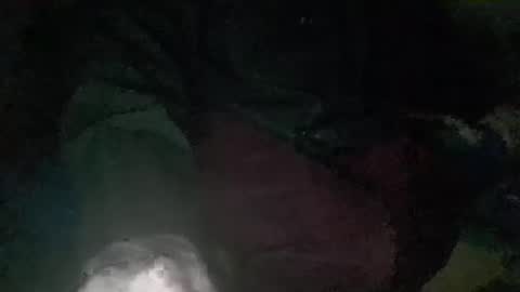 Wowizowi online show from October 9, 8:20 am