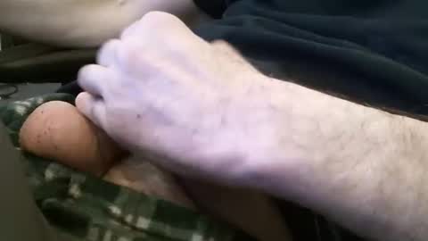 wrangleat0r online show from January 30, 1:33 am